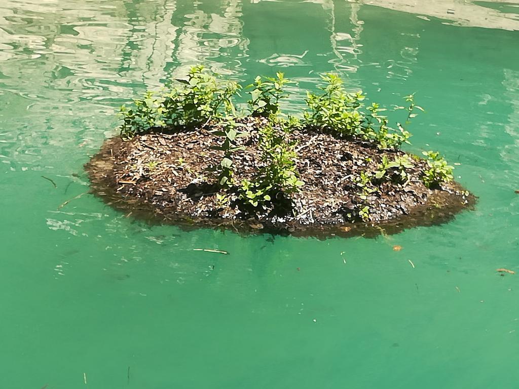 Apartment Mitric بلوزين المظهر الخارجي الصورة